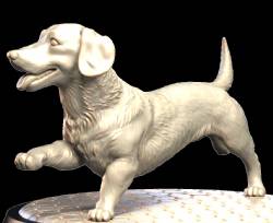 Dachshund family (4)
